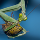 Illustration for article titled Shooting Challenge: Bugs 2
